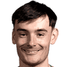 Дилан Левитт
